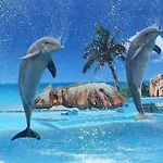 Mit Terrasse By Interhome Lägenhet