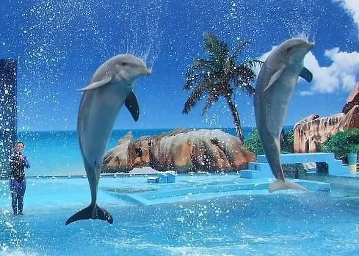 Mit Terrasse By Interhome דירה