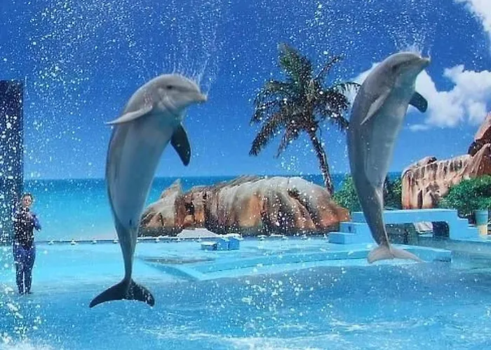 דירה Mit Terrasse By Interhome